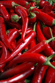Chili Peppers